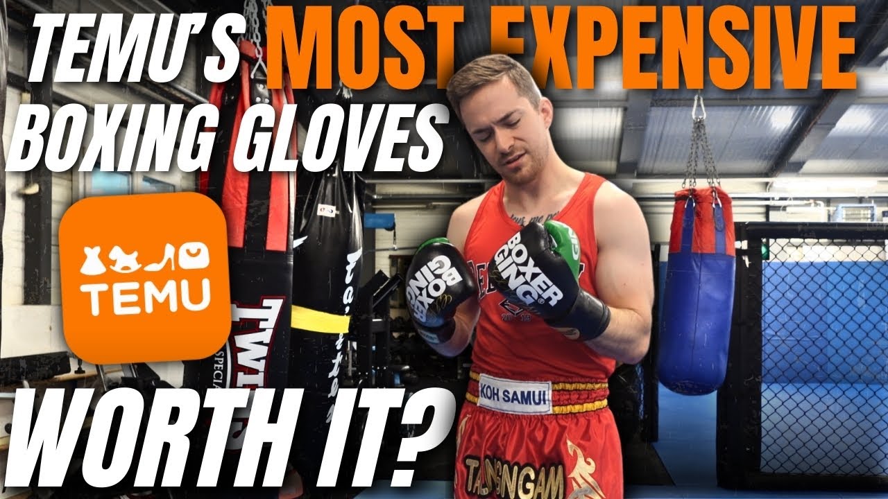 I Ordered The Most Expensive Boxing Gloves on Temu: Here is How It Went