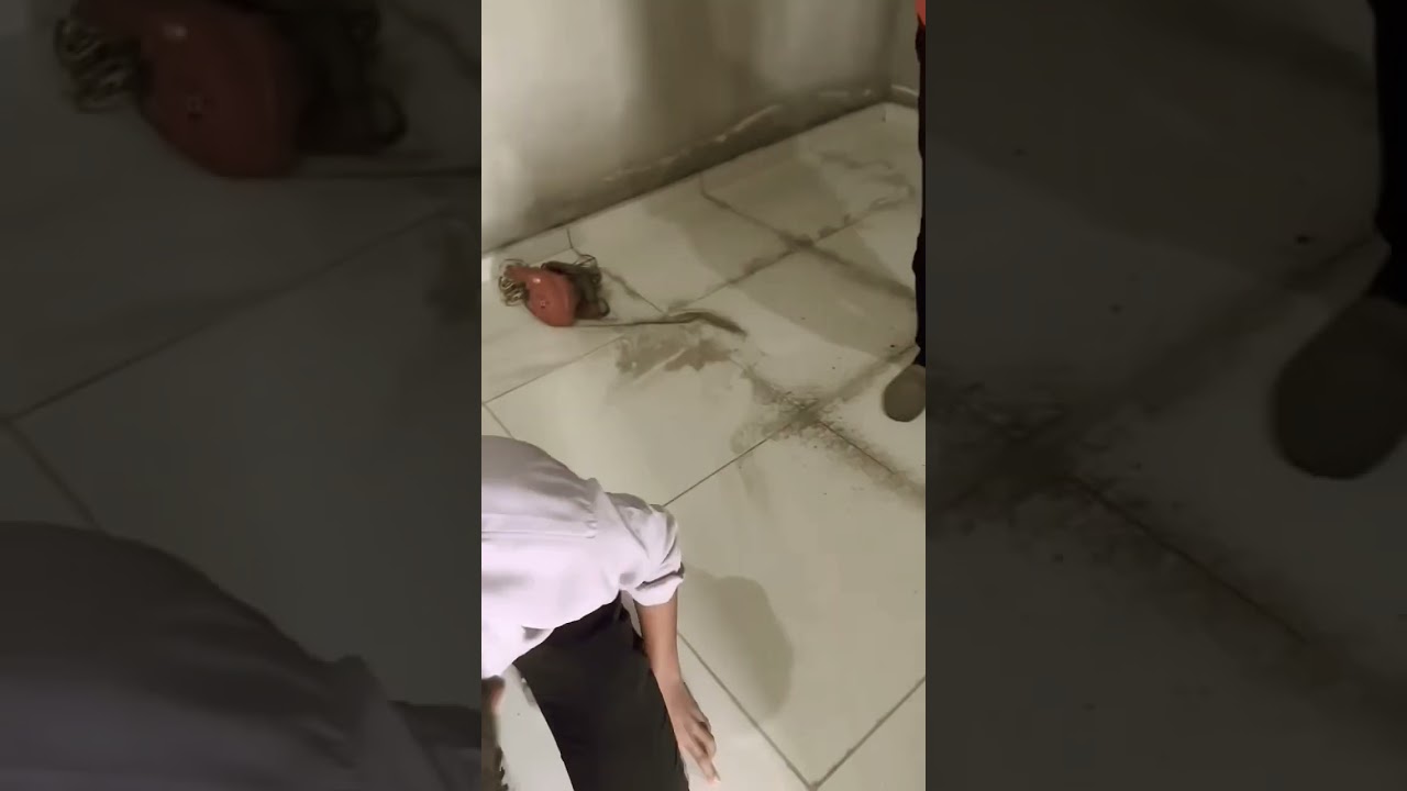 Tile  grouts