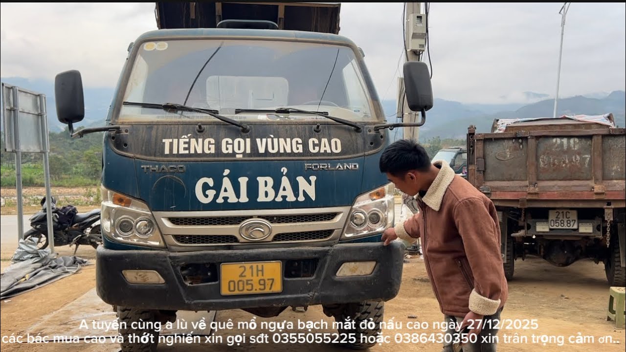 bảo dưỡng xe tải GÁI BẢN.a lù xuống thăm nhà a tuyến.mổ ngựa bạch mắt đỏ nấu cao #gaiban #gaiban 