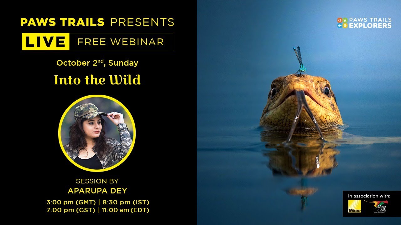 Into the wild with Aparupa Dey