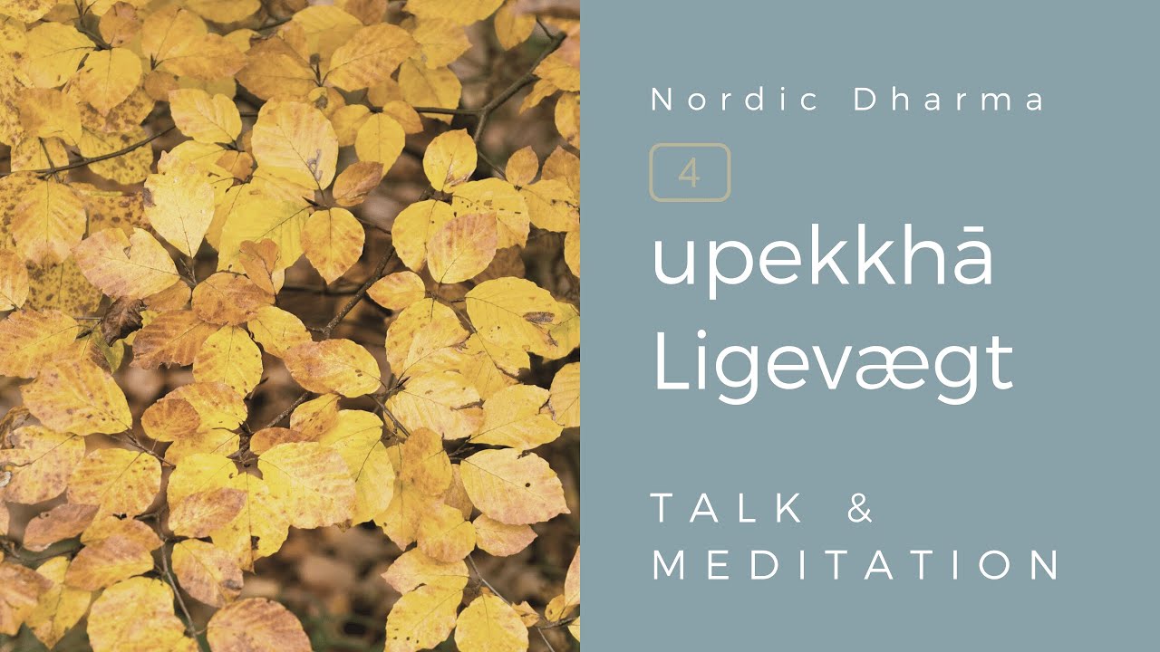 Talk & guidet meditation. Upekkha (Ligevægt). 45 min