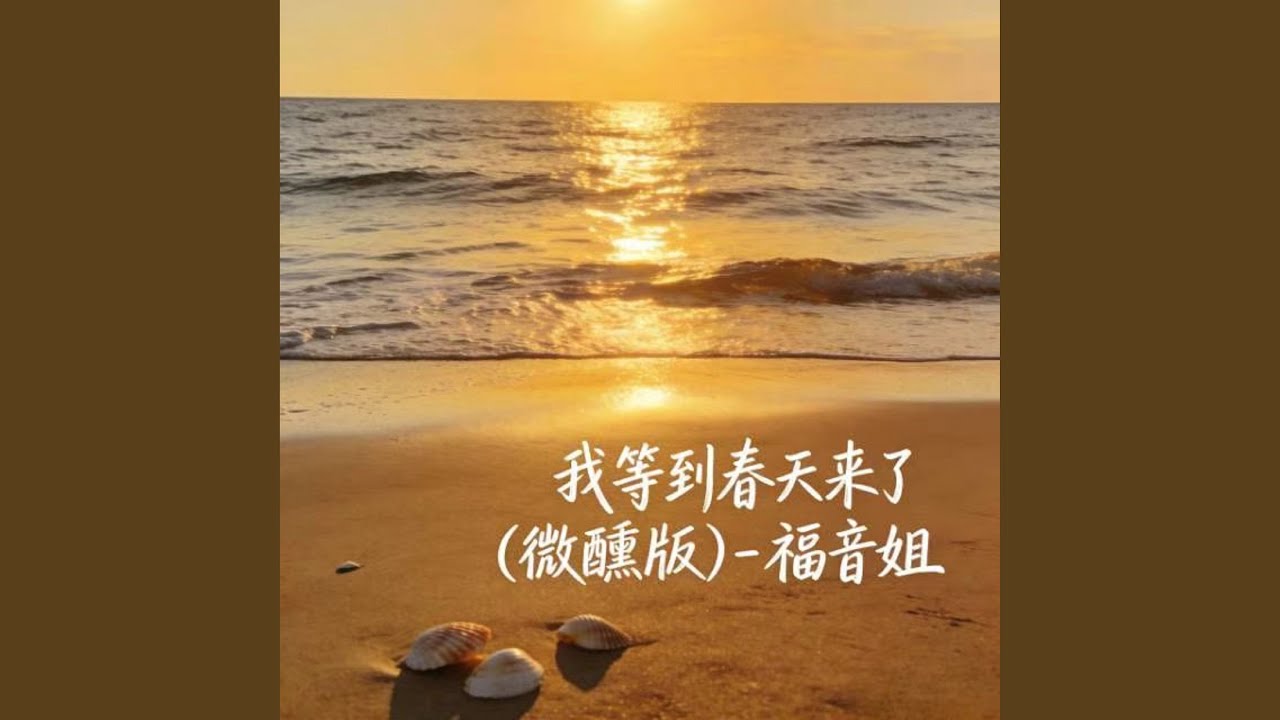 我等到春天来了 (DJ涵哈版)