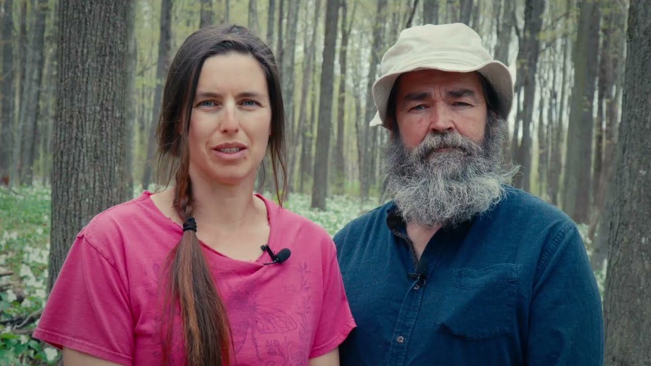 Inside a 75-Year Beekeeping Legacy — Rethinking How We Support Bees