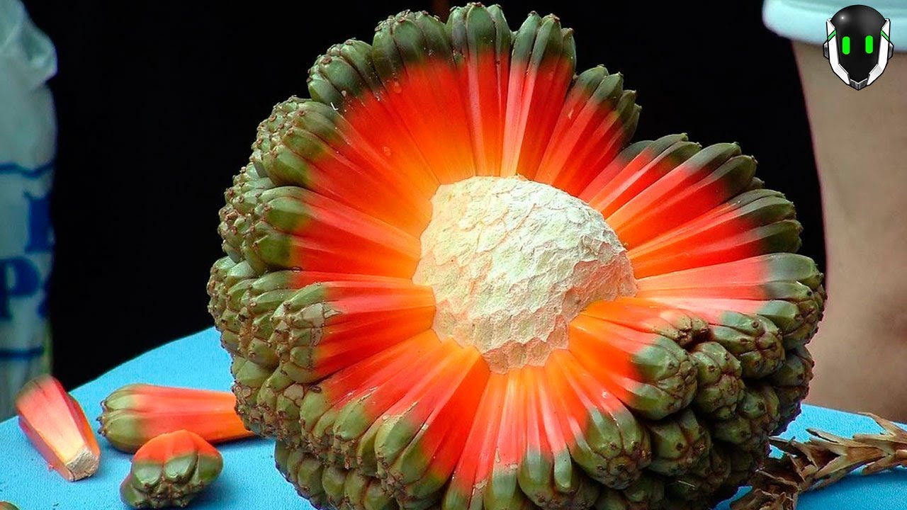 10 Frutas Tropicales Que Nunca Has Escuchado