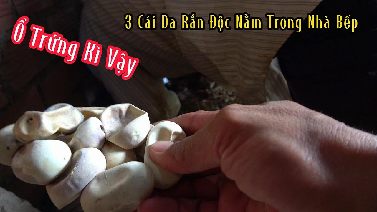 Không Thể Tin Nổi 3 Điểm Liên Tục | Mười Thương SB