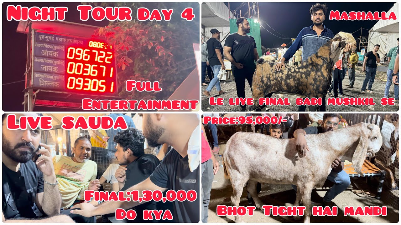 Deonar Bakra Mandi Day 4  Saturday Night vlog | 8th June 2024 | Aaj Bakra ka Sauda karke Jaynge