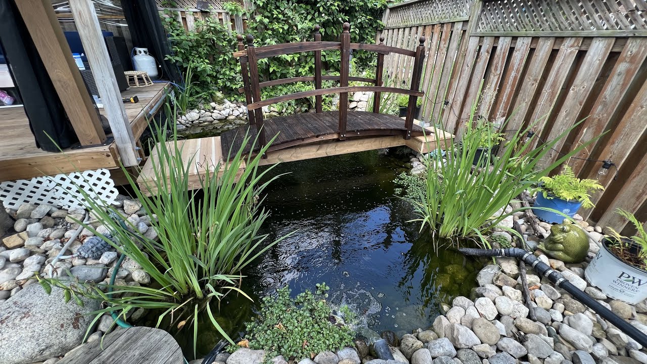 DIY Koi Pond Update 2023 - New Pond Bridge Project