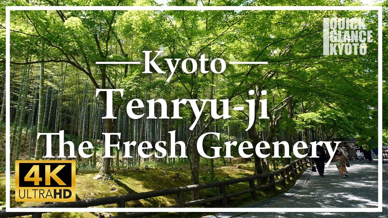 In early summer, Fresh maples cover the ‘Sogenchi’ Garden in a refreshing green color.