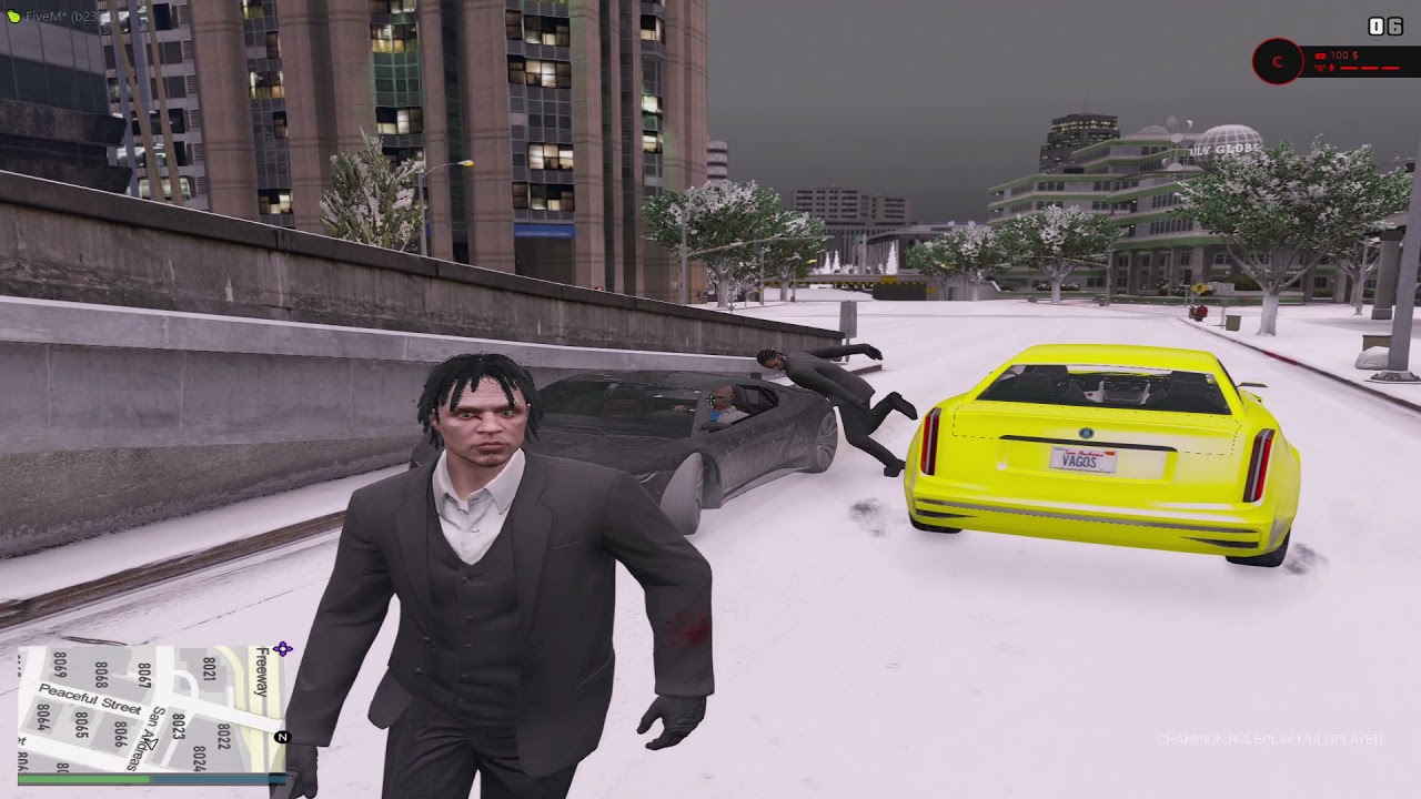 FiveM wird auseinander genommen! #1