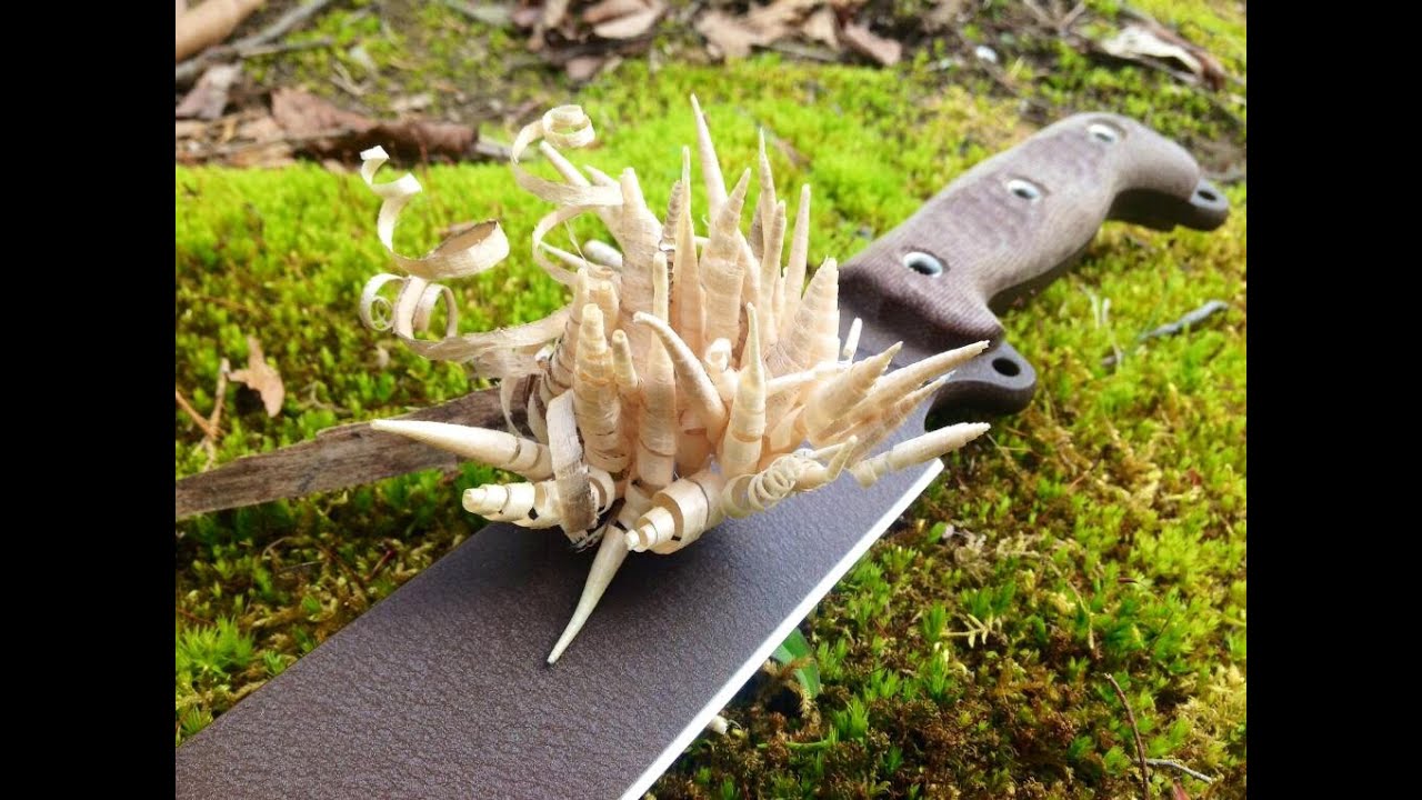Busse Combat ASHBM: Some Use