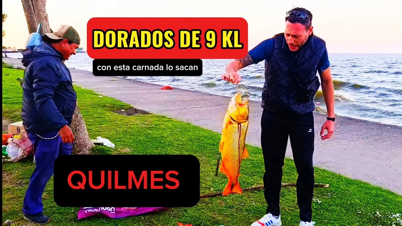 Impresionante como se pesca 🎣 en la Ribera de Quilmes!😱😱