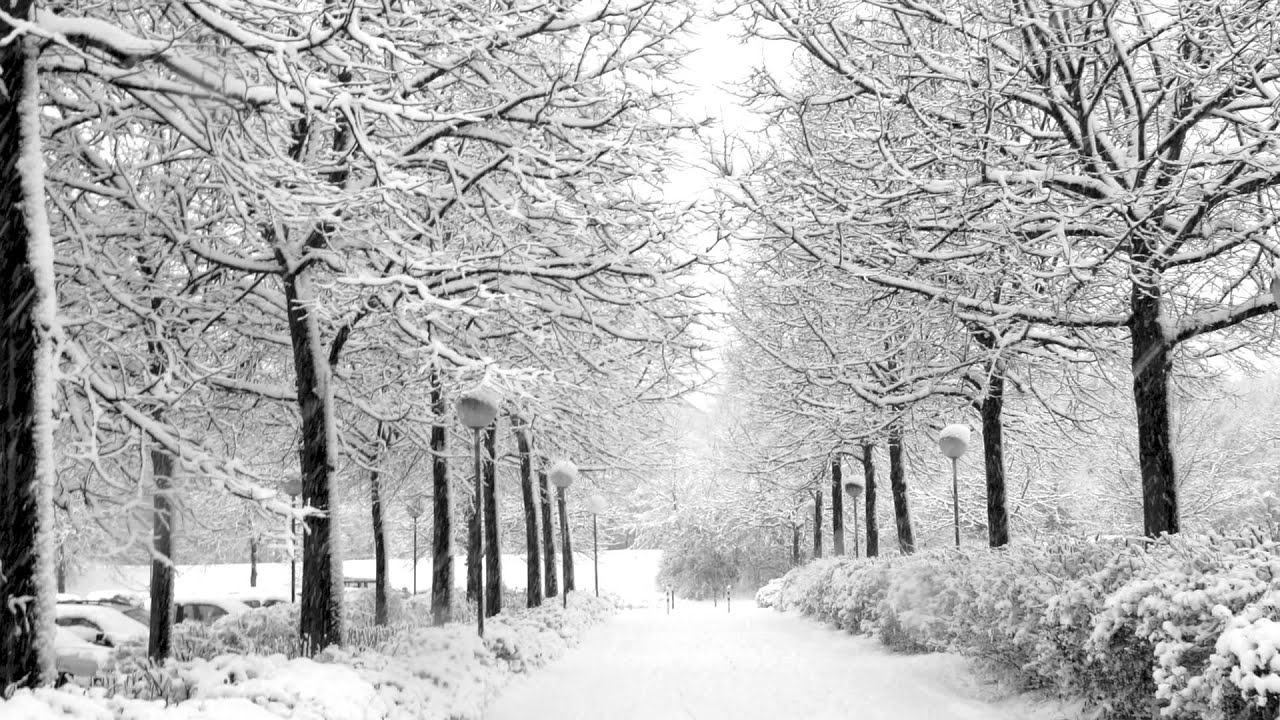 Minetta Lane - Tommy Page [Black and White Random Stills]