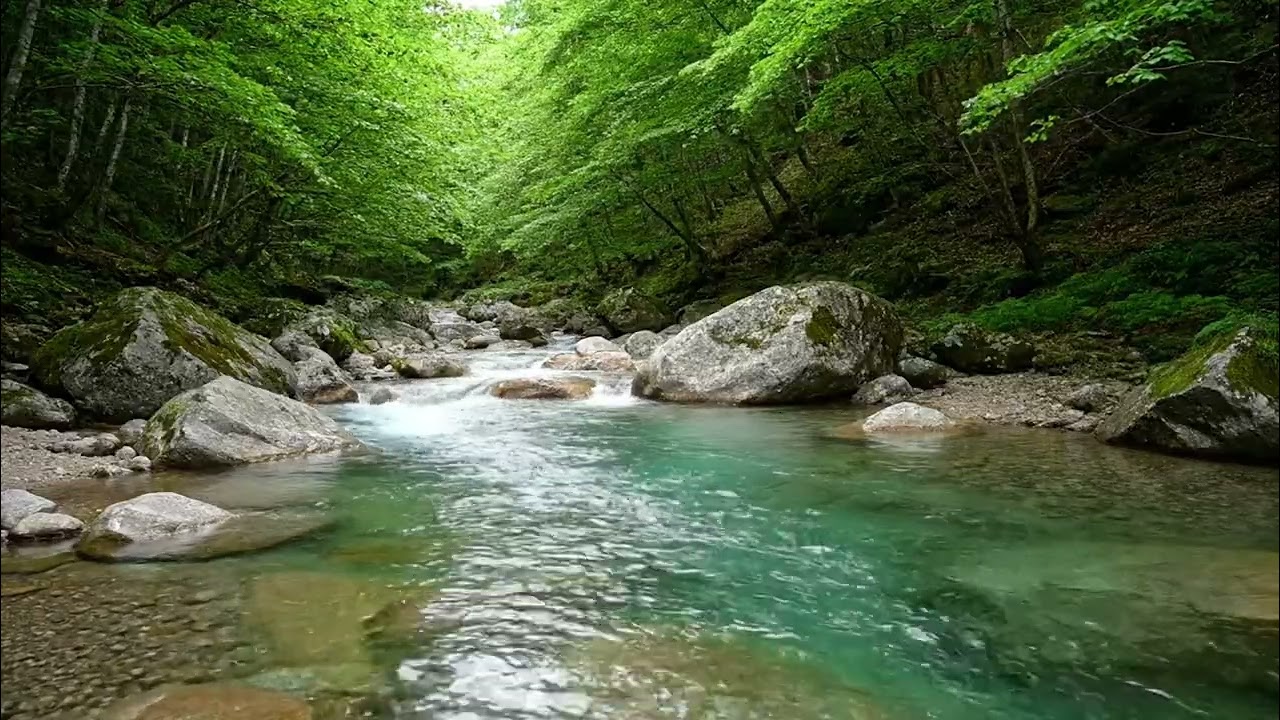 Peaceful Green River Sounds | Nature ASMR for Sleep