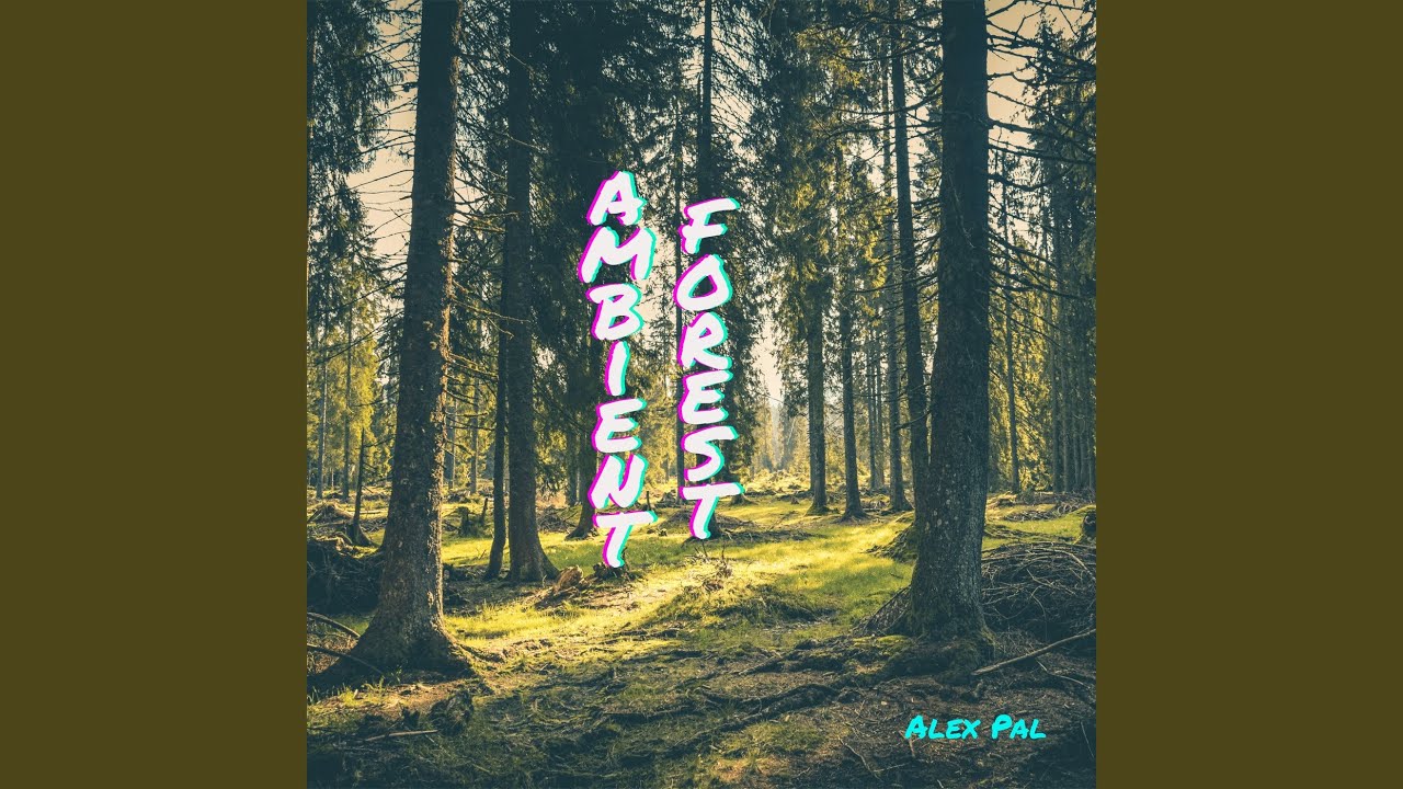 Ambient Forest