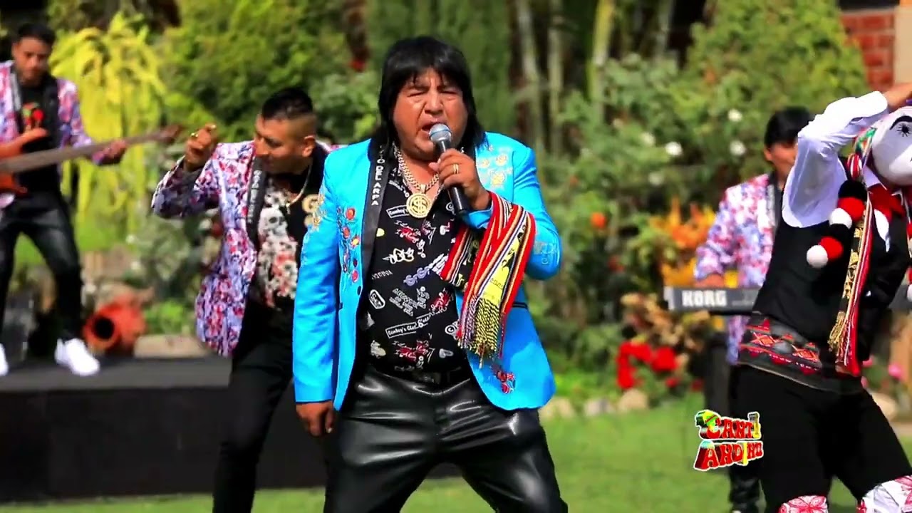♫ Vacalola - Gato Del Arpa 🐄 Huayno Perú 2025