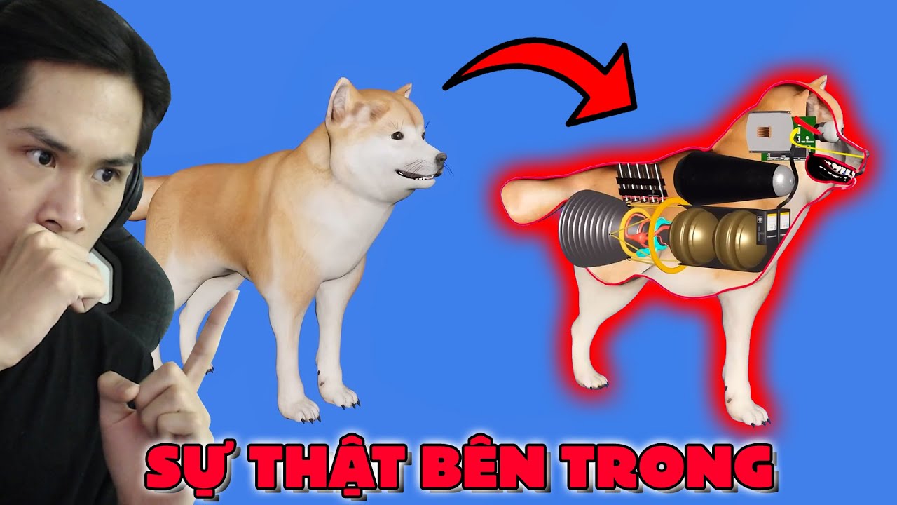 PobbRose SỰ THẬT b&ecirc;n trong một CON CH&Oacute; *cảnh b&aacute;o* !!! (Pobbrose HNXG) ✔