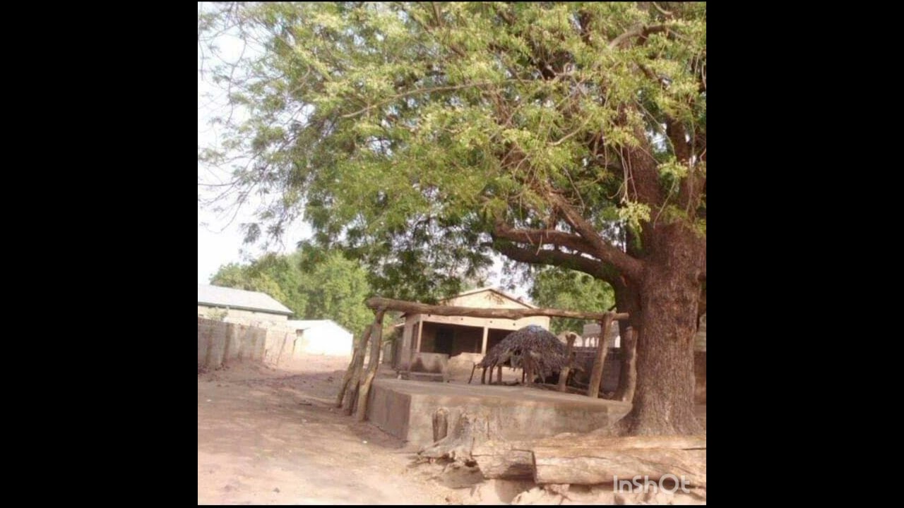 Sissawo Faranding Sanneh pt1