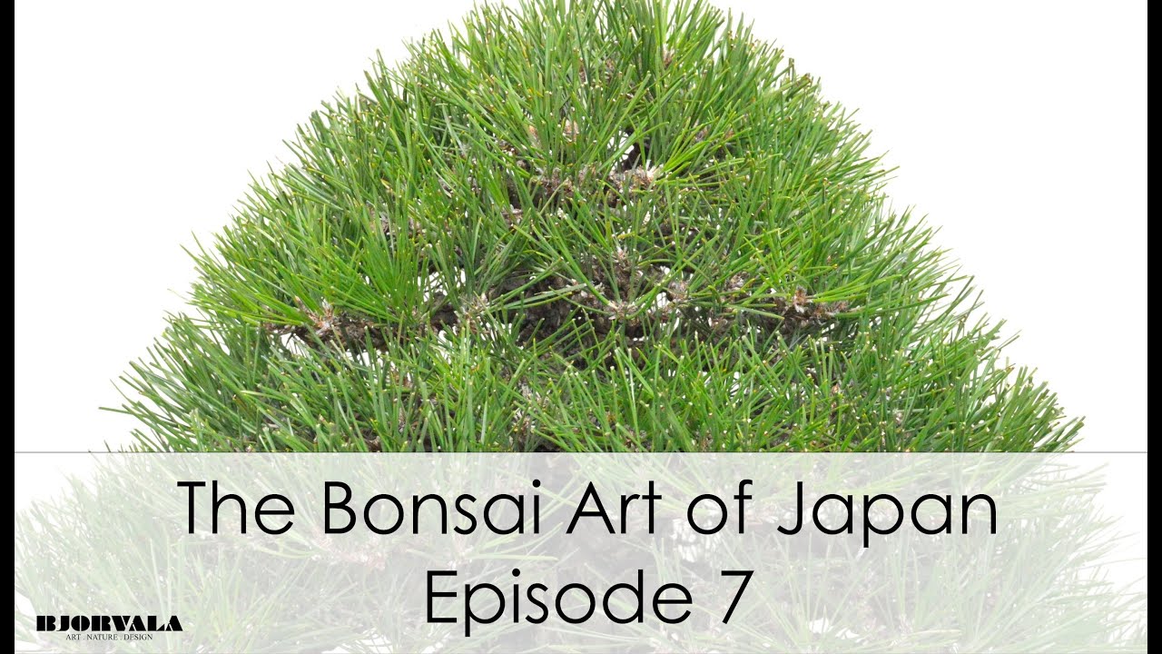 The Bonsai Art of Japan - Episode 7