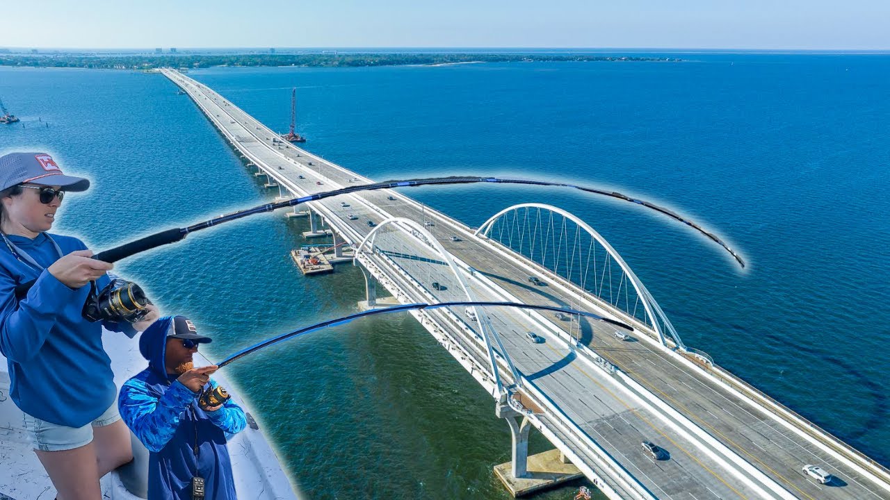 Giant Fish Live Under This Legendary Bridge in Florida
