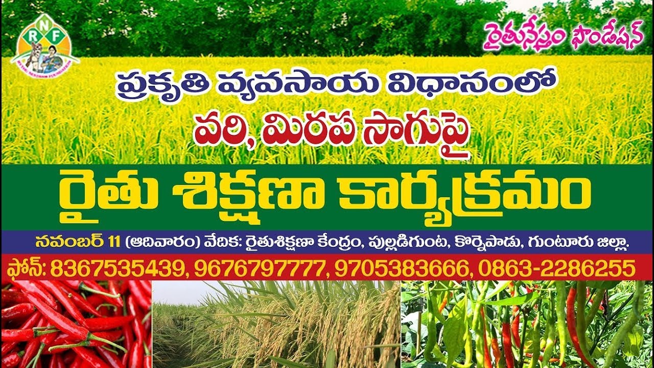 Farmer Training on Paddy, Mirchi Natural Farming || Rythunestham Foundation
