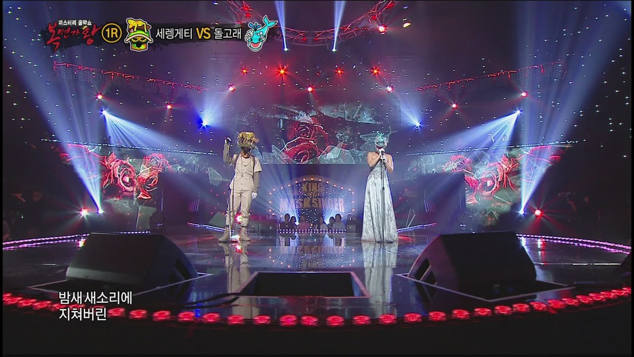 [King of masked singer] 복면가왕 - ‘Serengeti’ vs 'Dolphins' 1round - Forgotten Flower 20160612