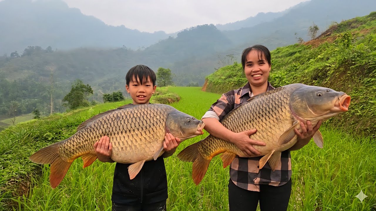 The mother and son drained the pond to catch fish and release them into the rice field.
