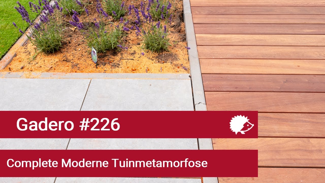 #226 Complete Moderne Tuinmetamorfose
