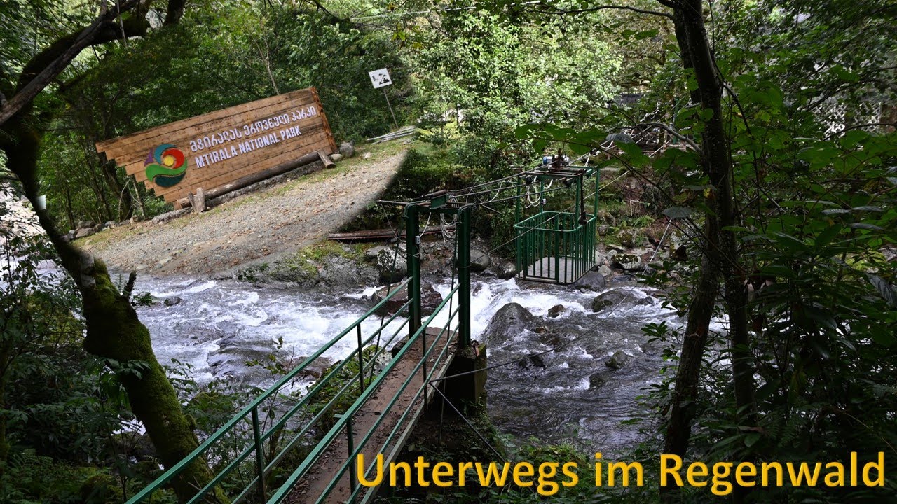 Unterwegs im Mtirala Nationalpark - den Regenwald Georgiens