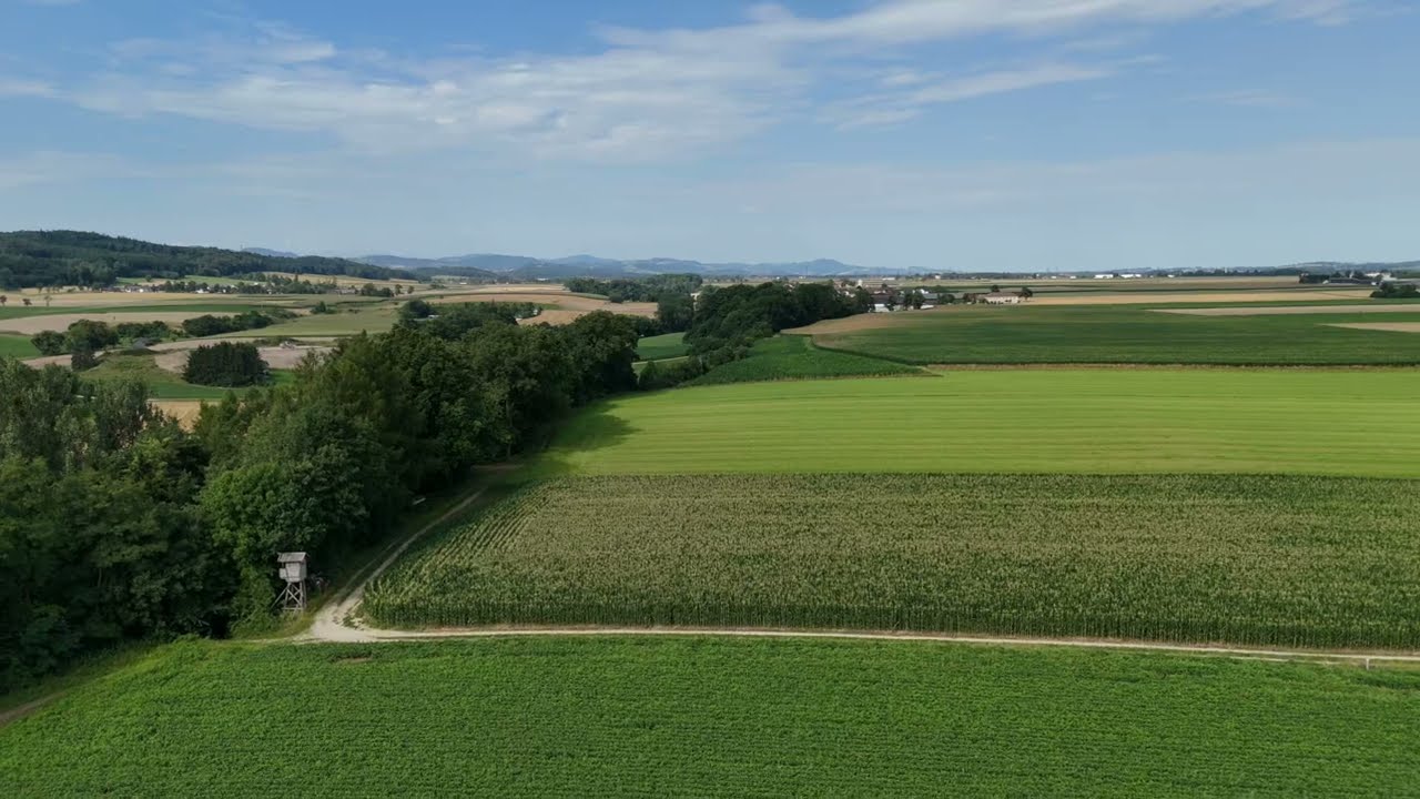 DJI Flip - Neuhofen & Mauer Umgebung