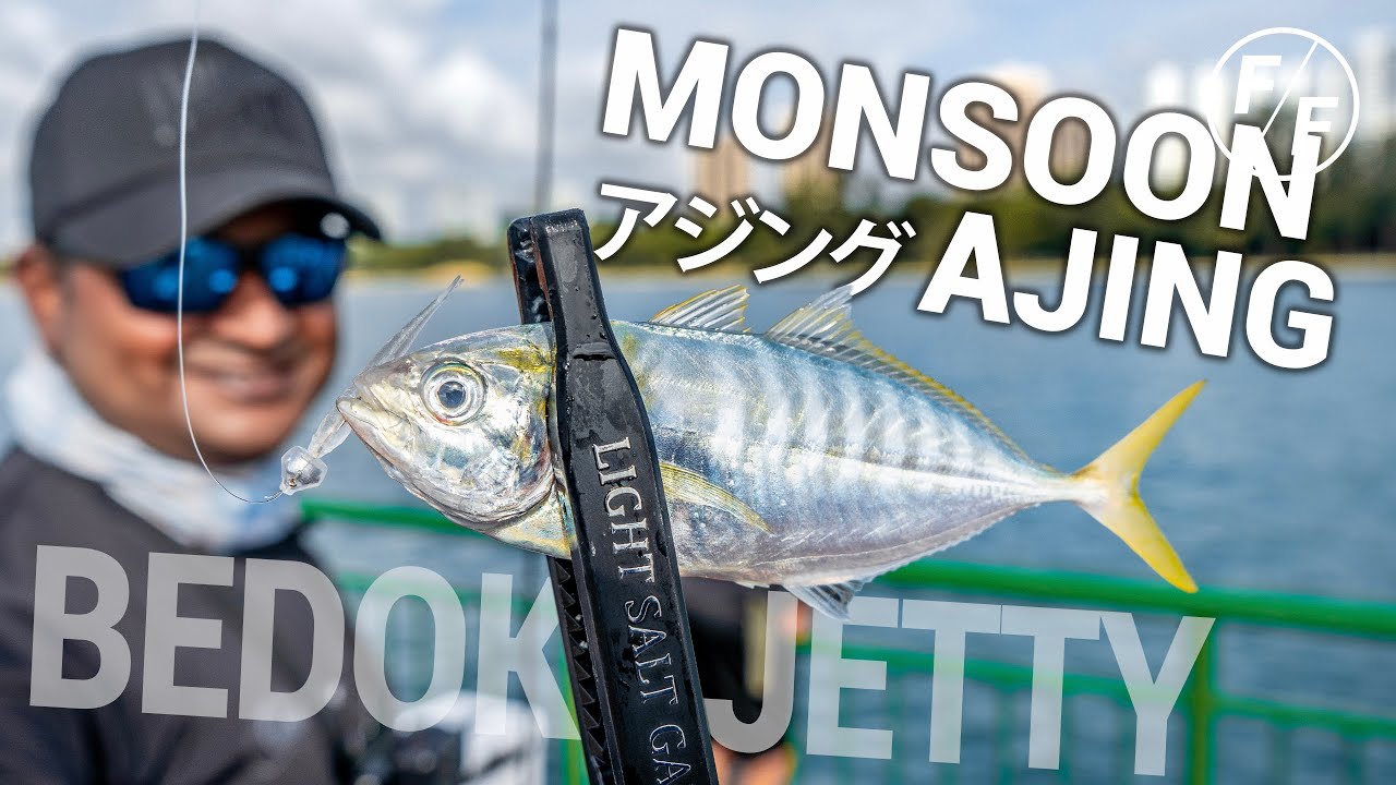 MONSOON AJING [アジング, あじ 釣り] at Bedok Jetty! | Facepalmfishing #ajing #アジング #singaporefishing