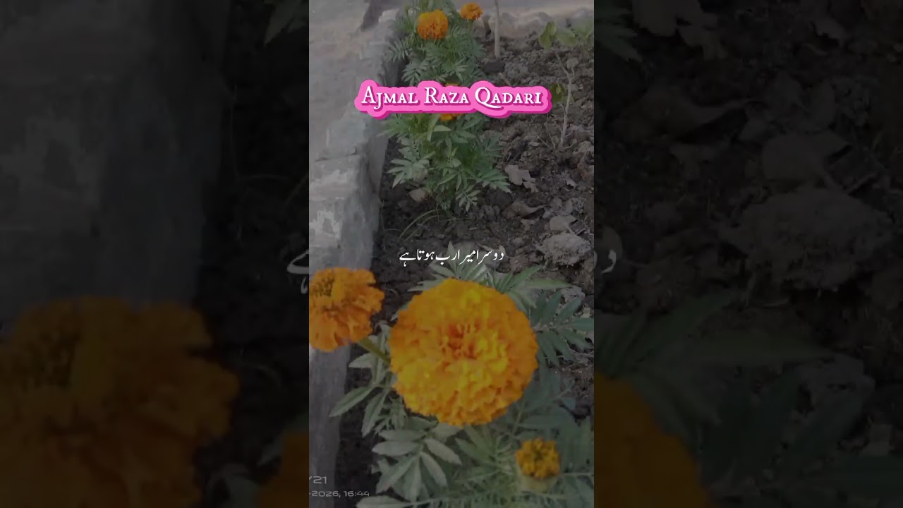 @MuhammdAjmalRazaQadriOfficial @iLovUAllah @qariaburayhanofficial 