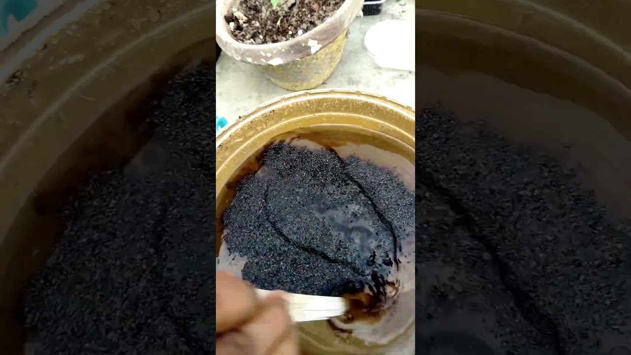 plant better growth 📈🌱👌 use humic acid #naturelovers