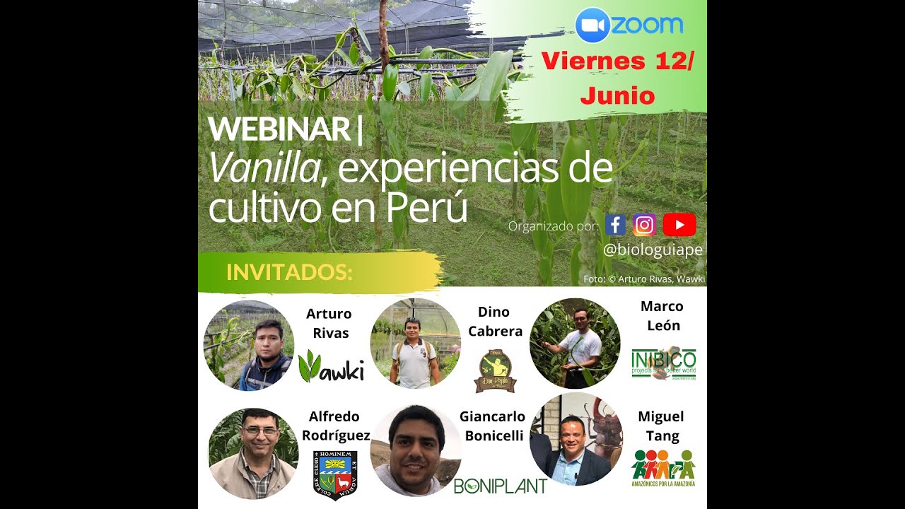 WEBINAR Vainilla Perú | Arturo Rivas (Wawki)