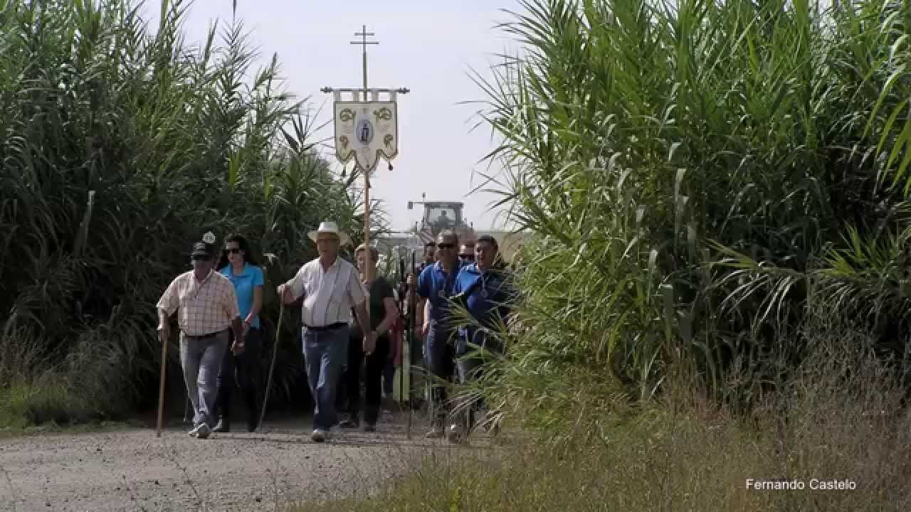 Romería de Santo Domingo 2014. Hinojosa del Duque