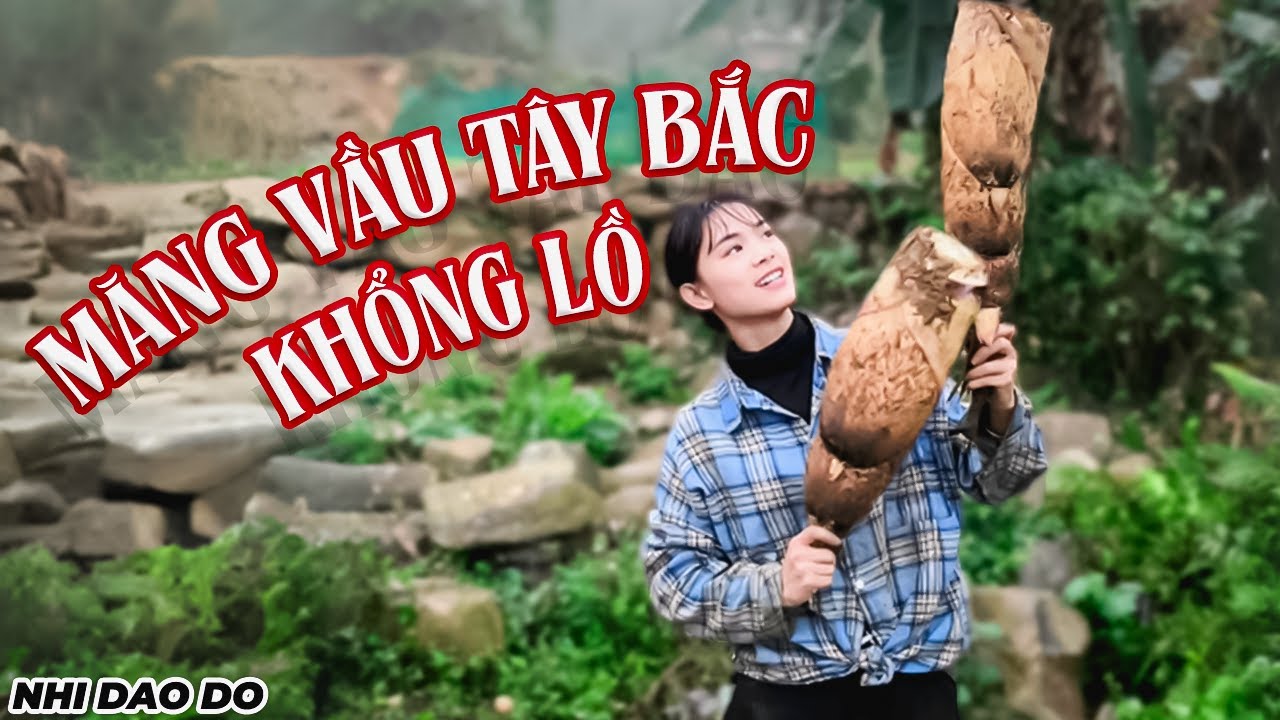 Không Ngờ Ổ Măng Vầu Siêu To Lại Nằm Ngay Đây! Thành Quả Quá Xứng Đáng | Nhi Dao Đỏ