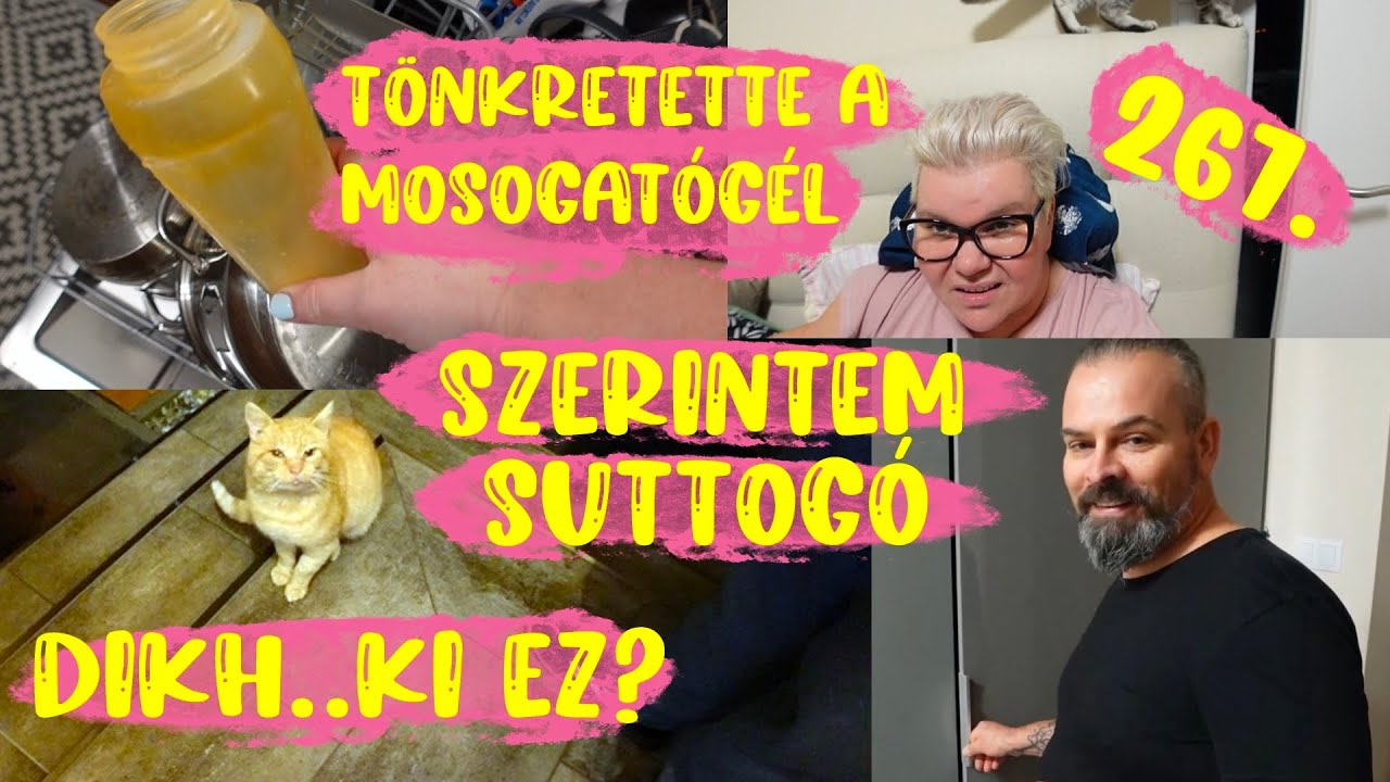 Tönkretette.. Dikh ki ez? Jött egy macska? Ágyi vidi 267.rész