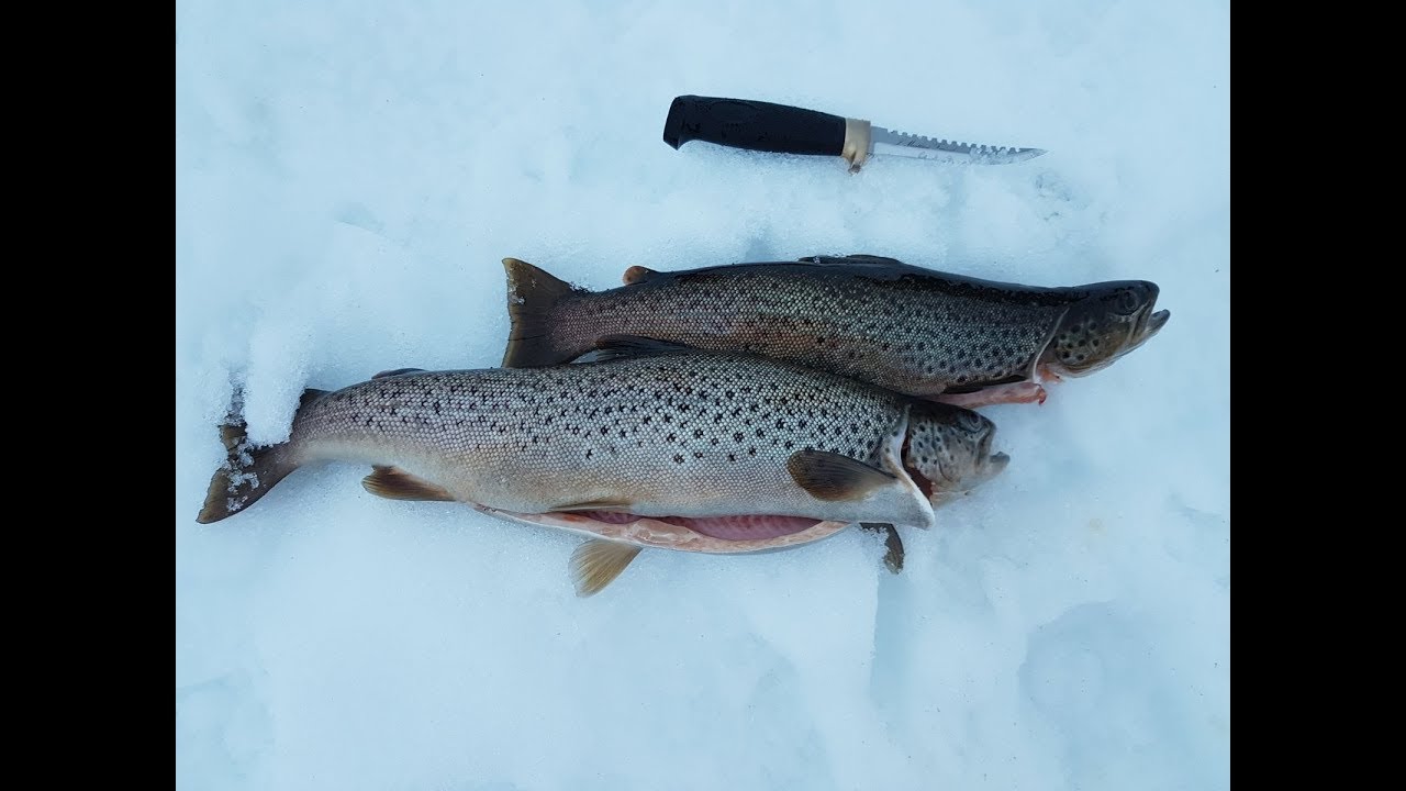 Rautupilkille Pohjois-Norjaan 2018