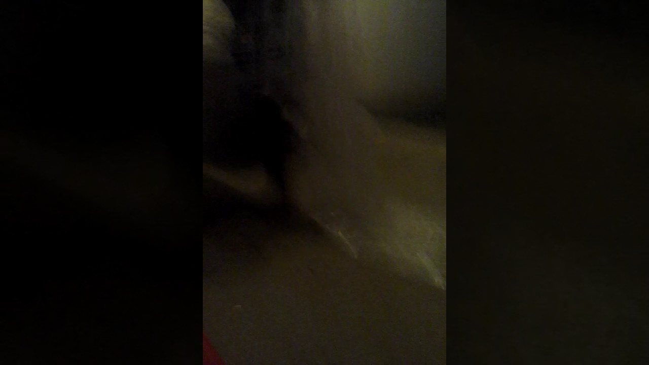 emitando pegadina da proibida