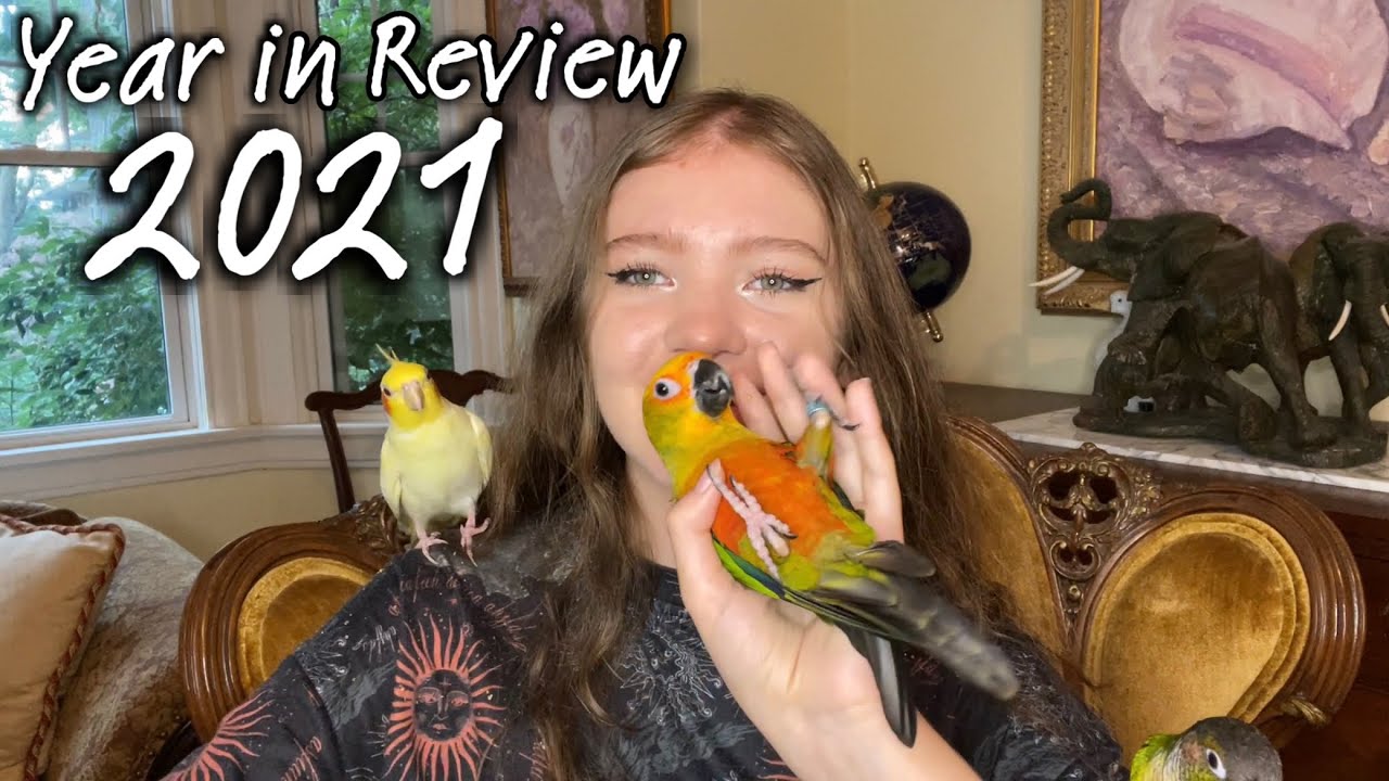 ElleAndTheBirds 2021 Year in Review!