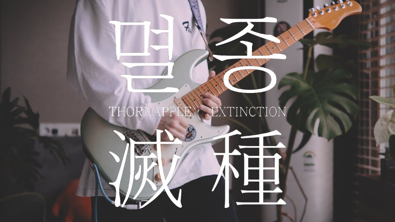 쏜애플(THORNAPPLE) - 【멸종】 / 기타커버