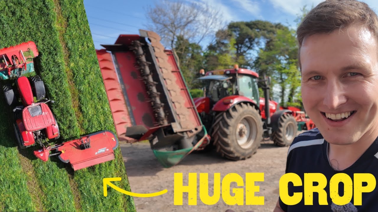 How Do We Have This Much Grass in April?! 6 Mowers on First Cut Silage – Part 1 (2025)