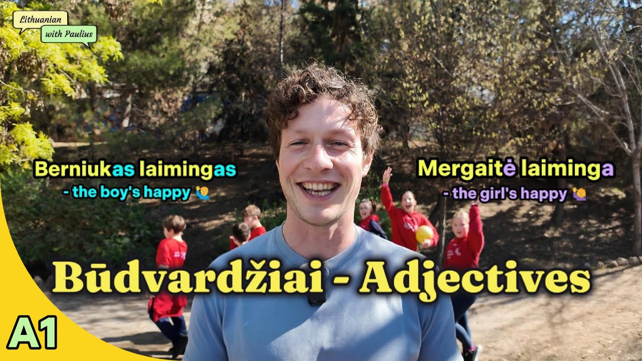 Nuotaika ir Savijauta - Lithuanian Adjectives for Beginners