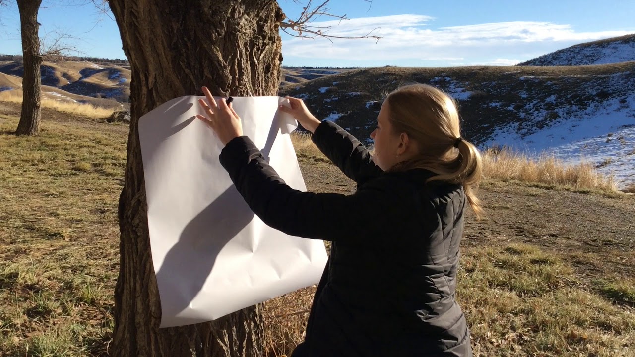 Culture Vulture From Home: Textured Readings - Charcoal Rubbings