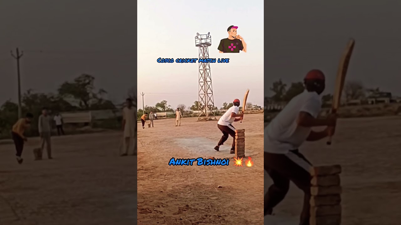 Patwari 💥💯🏏🏏🏏 #cosco #cricket #punjab #ipl