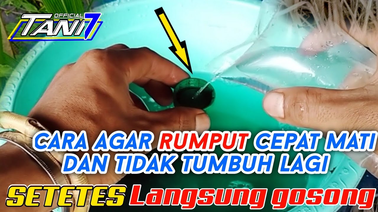 HANYA SETETES ! rumput langsung gosong - cara agar rumput cepat mati dan tidak tumbuh lagi | Tani 7