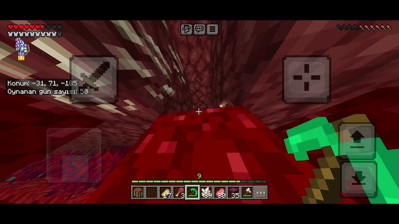 Minecraft nether'e devam ediyoruz