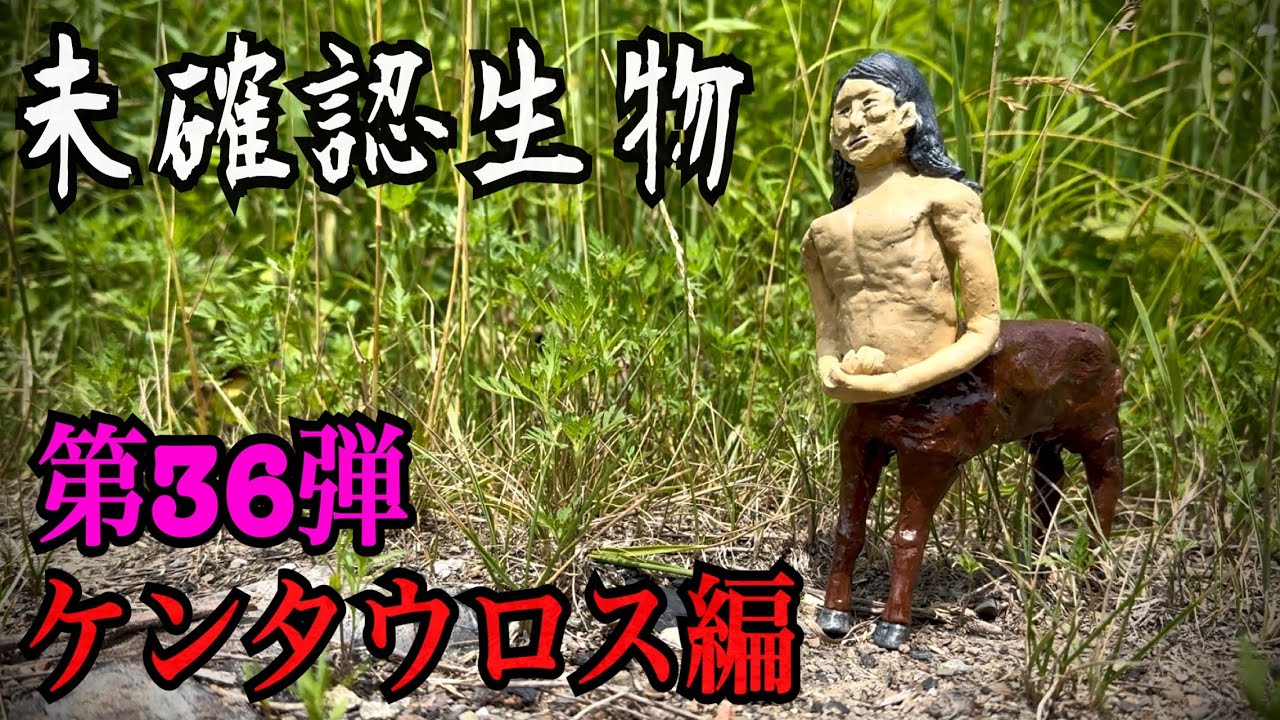 【未確認生物】ケンタウロス見つけるまで帰れません！！！！