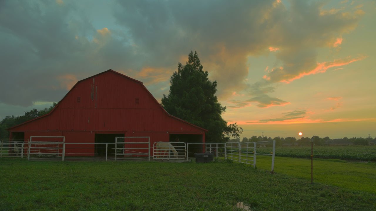 Back Road Barns of Arkansas
