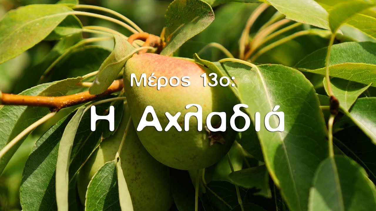Η Φυσική Καλλιέργεια με τον Παναγιώτη Μανίκη (ΜΕΡΟΣ 13ο: Η Αχλαδιά)