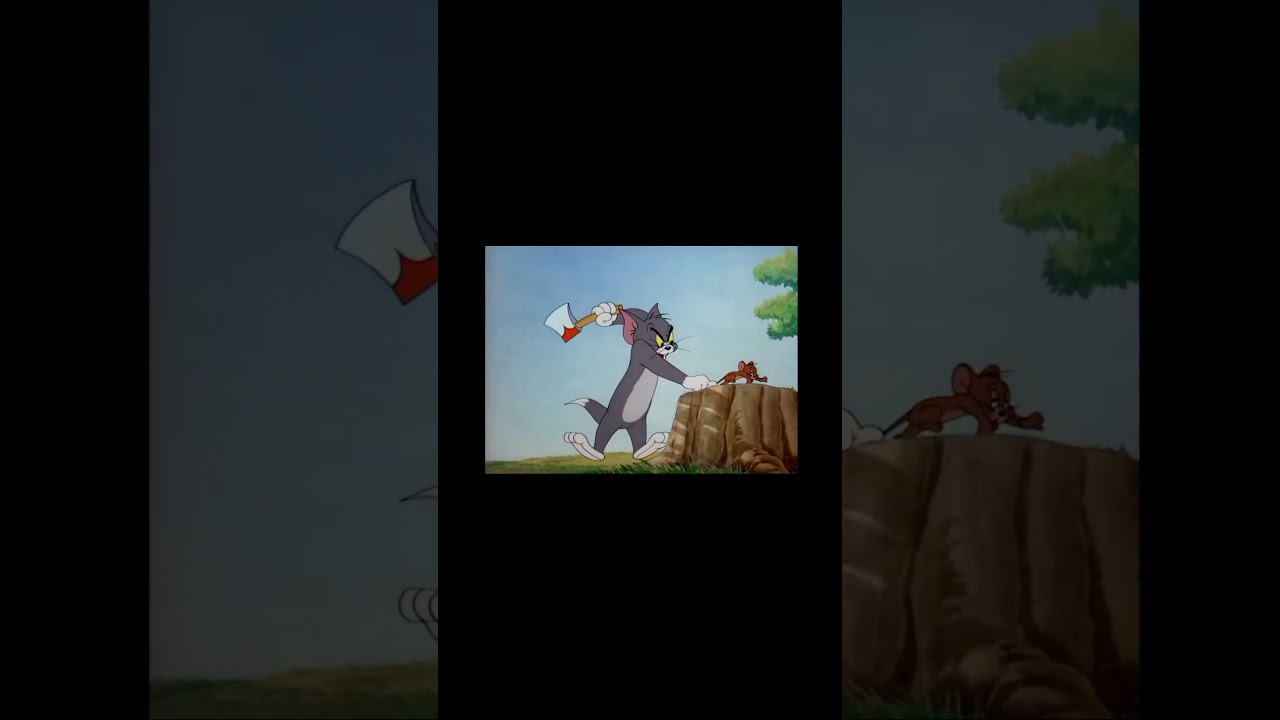 The Tom and Jerry Show: A Series of Slapstick Skirmishes and Comedic Capers"